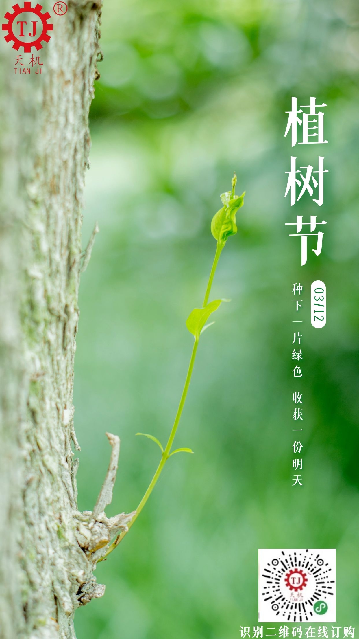 植樹節(jié) 植樹節(jié)